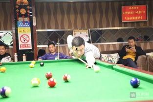 中式台球圈吃瓜,揭秘中式台球界的“吃瓜”事件
