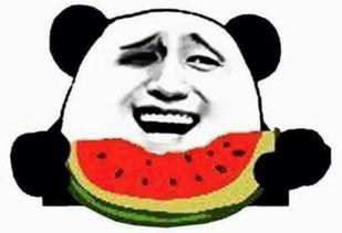 yolo吃瓜群众,揭秘网络热点的幕后故事