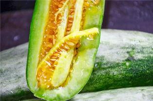 羊角瓜是什么季节吃,夏季消暑佳品，尽享清凉美味