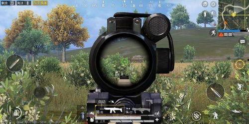 和平精英吃瓜真实