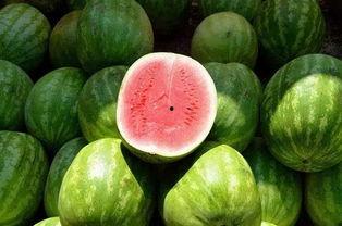 sask吃瓜白色月牙,揭秘白色月牙背后的神秘故事